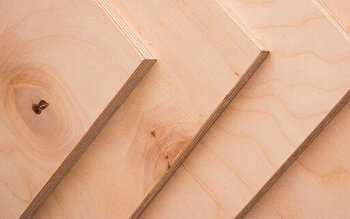 ФСФ-фанера под воздействием влаги: устойчивость к грибку и плесени