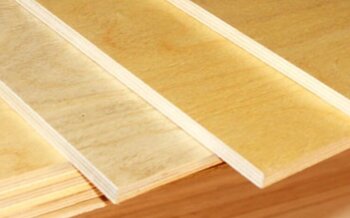 Хвойная или берёзовая фанера: различия в прочности и цене